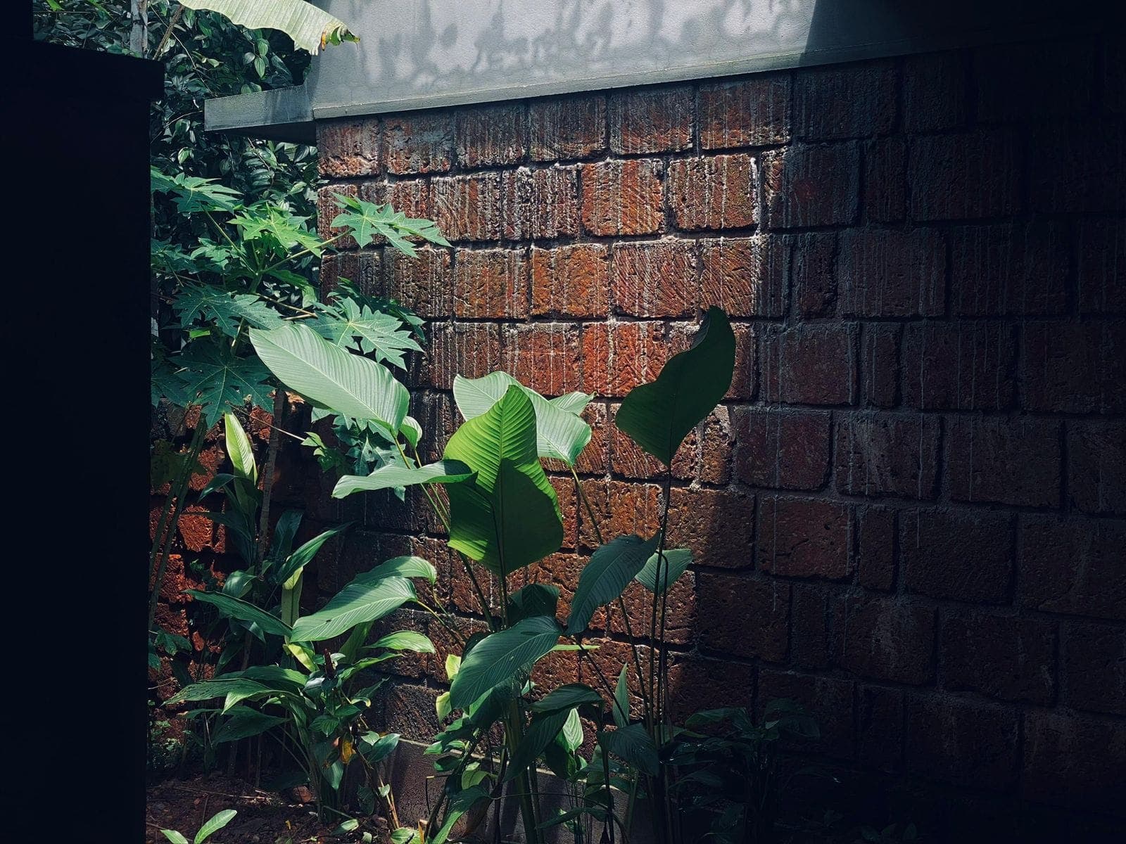 On Site Construction Image